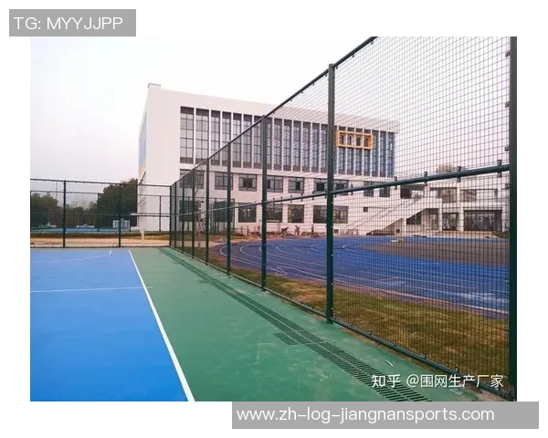 足球场围网的重要性与设计理念探讨及其对比赛安全的影响分析